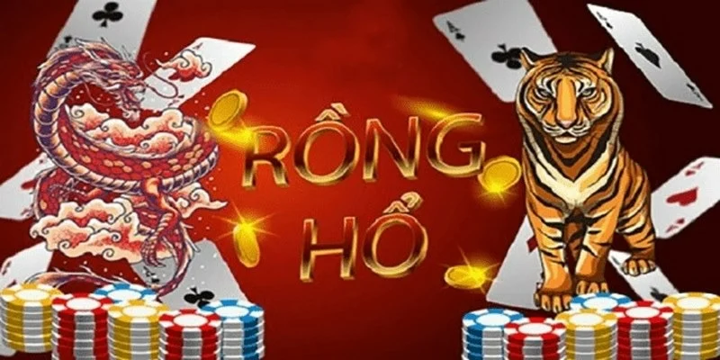 Rồng Hổ phù hợp với những ai yêu thích tốc độ và sự kịch tính